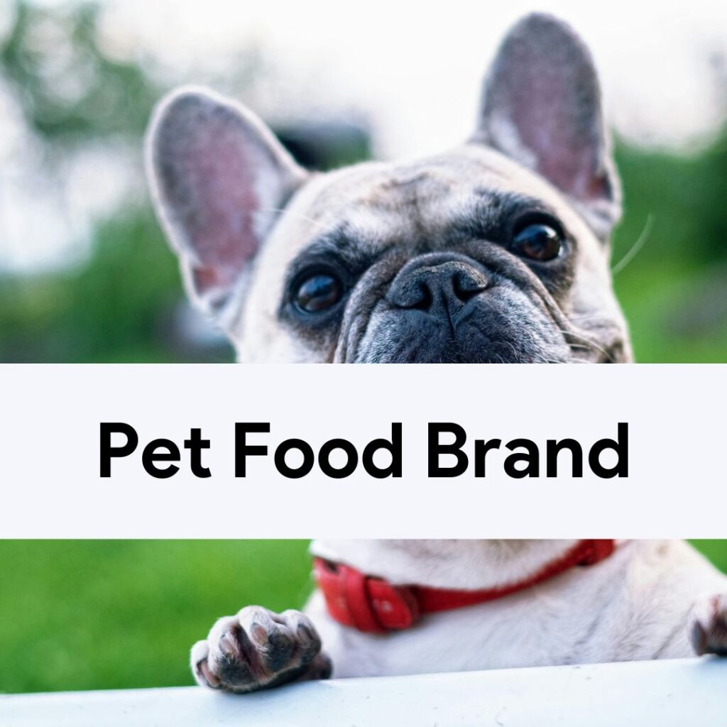 Cover Image For Pet Food Brand Case Study